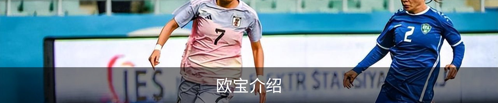 欧宝介绍