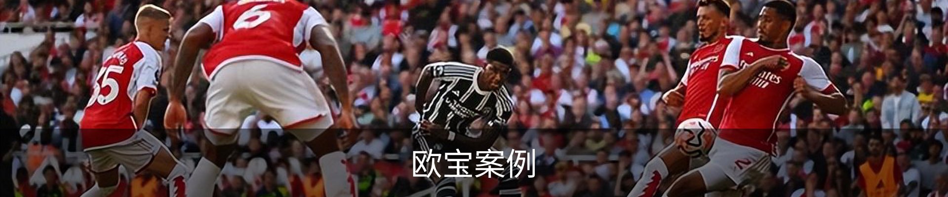 欧宝案例