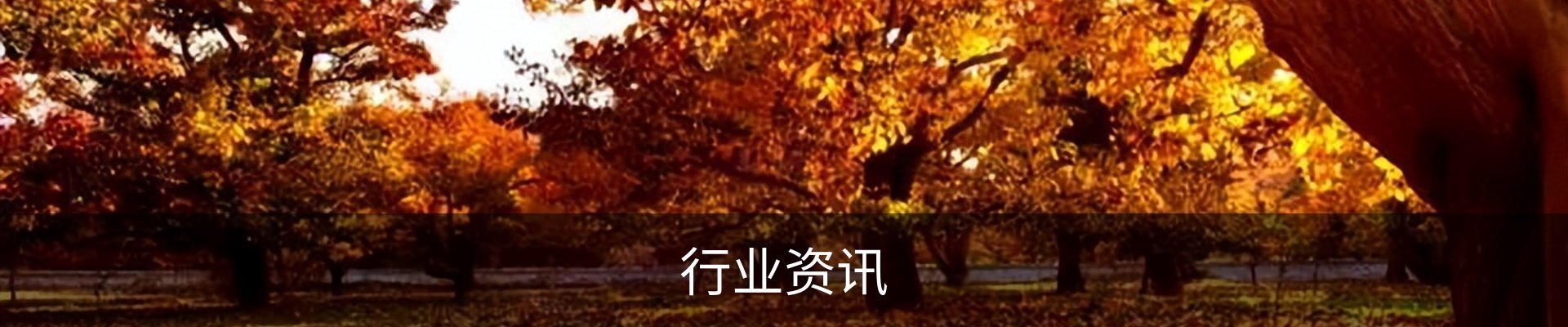 行业资讯